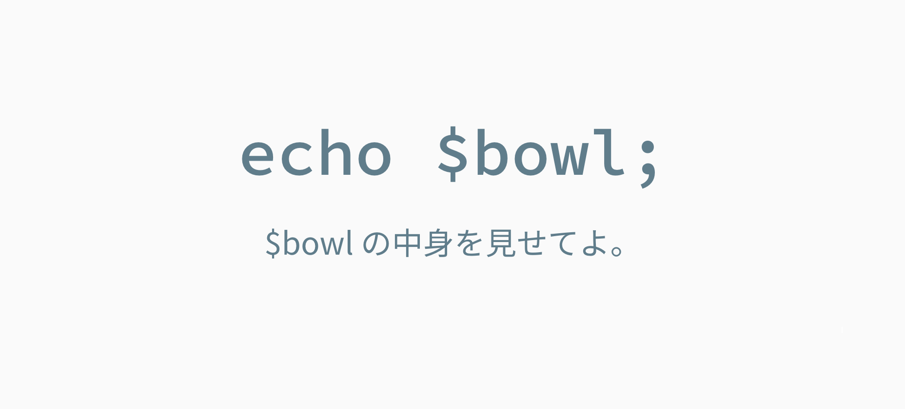 echoで中身を見れる