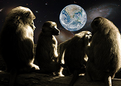 どこかの星から地球を眺める猿4匹