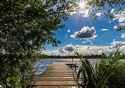 すこし逆光がまぶしい桟橋のある海